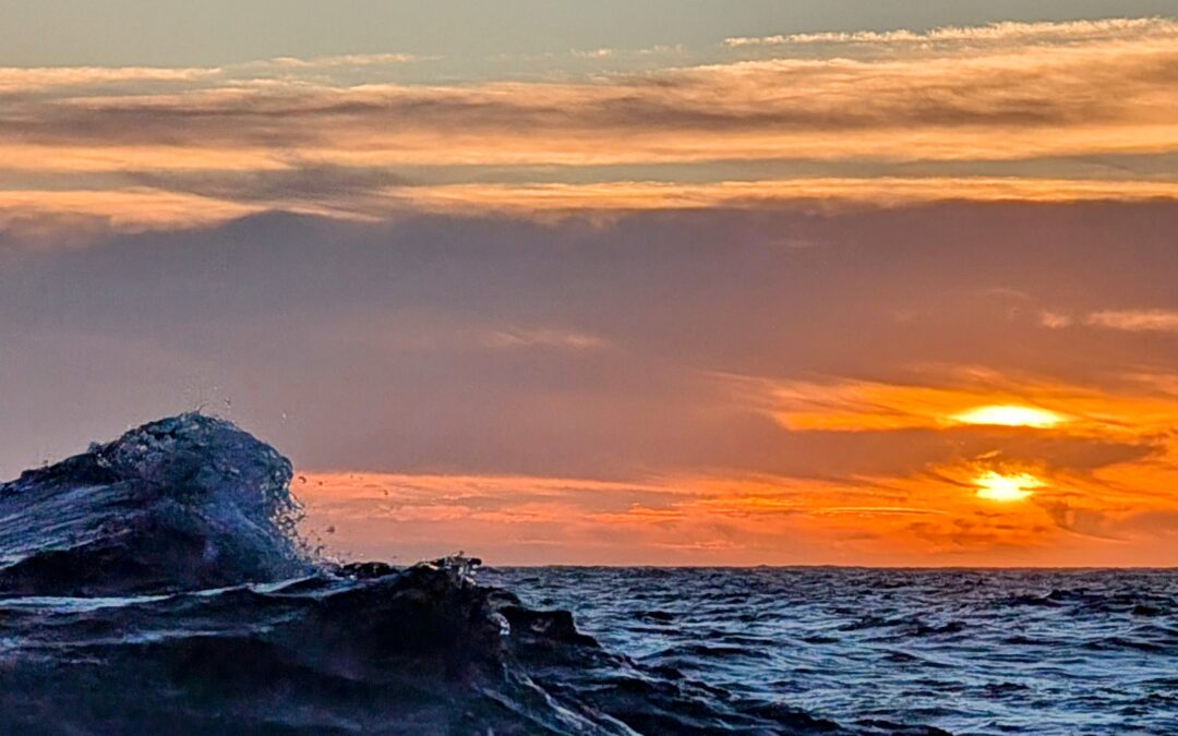 Ten Days into the Pacific